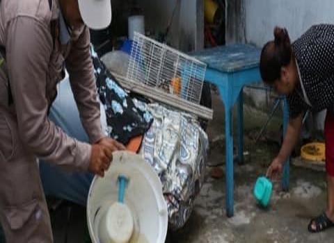 Cerritenses no contribuyen para combatir el dengue