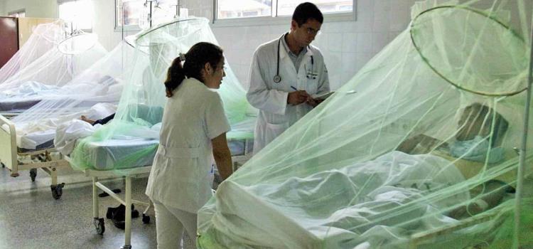 Huasteca con más casos de “dengue”