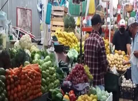 Esperan aumente la venta de frutas