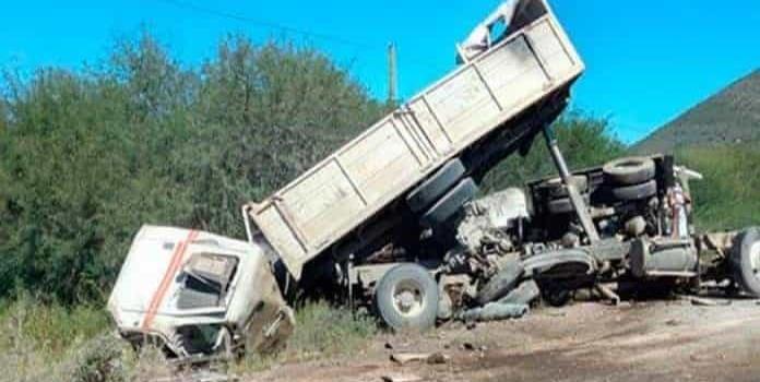 Camionero muerto en fatal accidente   