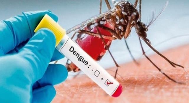 Dengue alcanza los 764 contagios