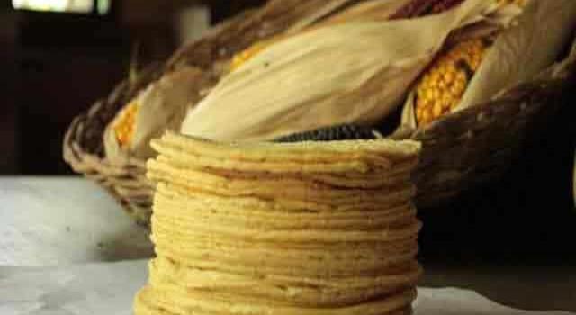 No aumentará el precio de la tortilla en enero