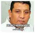 2.-Pedro Hernández….Peleó.