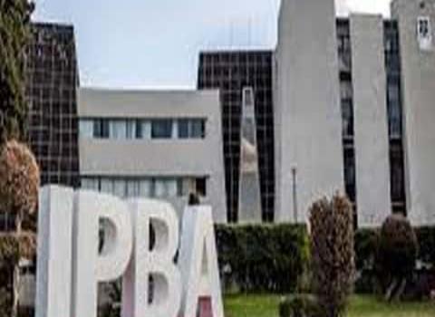 El IPBA anunció contenidos virtuales