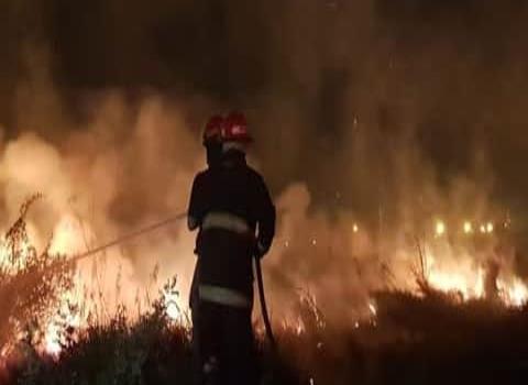 Incendio devastó 3 hectáreas de pasto