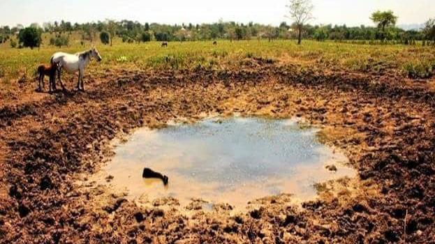 Prevalece sequía en la región