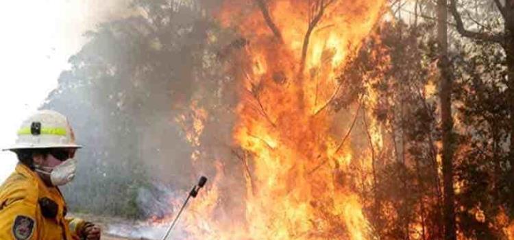 Evacuan a miles por incendio forestal