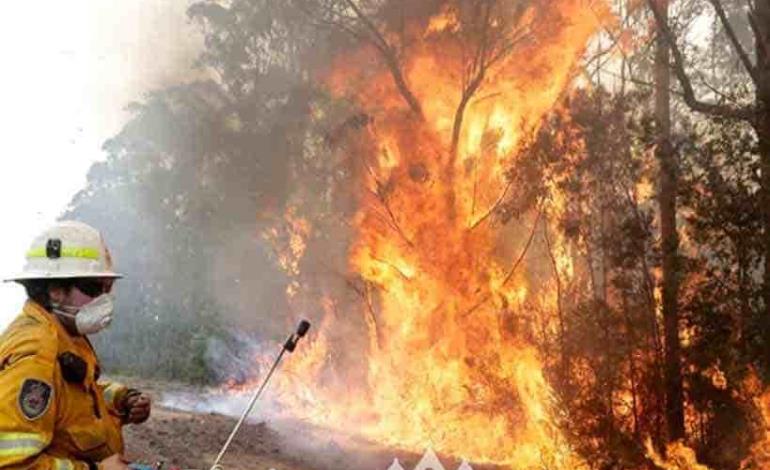 Evacuan a miles por incendio forestal