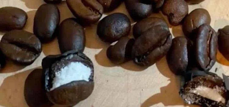 Incautaron 1.3 toneladas de cocaína oculta en café y frutas