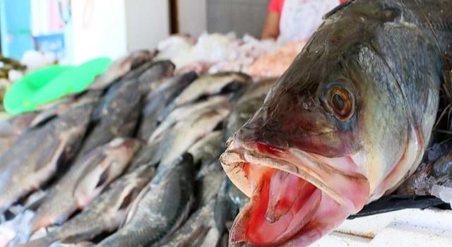 Cuaresma eleva venta de pescado