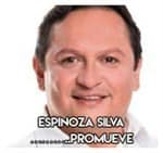 Espinoza Silva………………………..Promueve