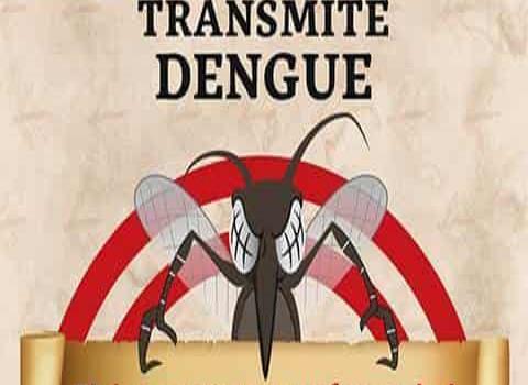 Pide prevenir el dengue