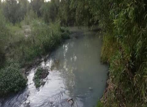 Descargas ilegales detectaron en el río