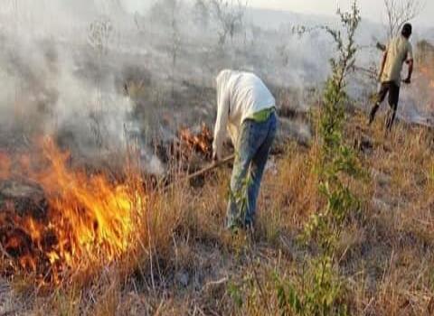 Prohibido quemas agrícolas en la zona