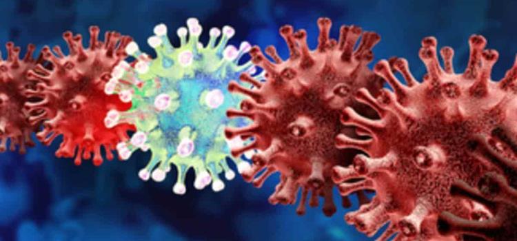 Tres cepas del virus en SLP     