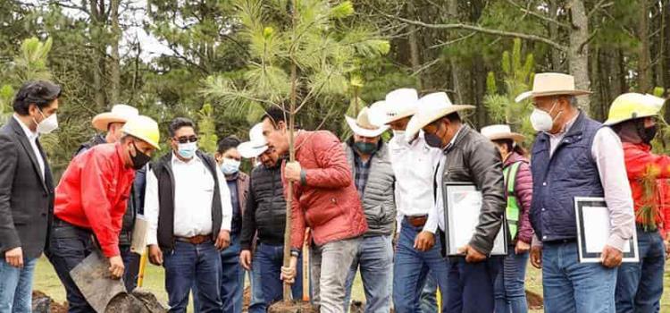 Gobierno Estatal entregó certificación a silvicultores