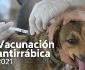 Vacunarán contra la rabia canina hoy