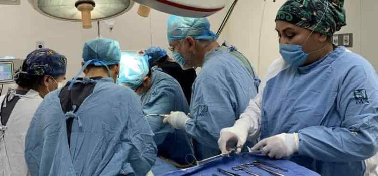 IMSS realizó 41 trasplantes de órganos y tejidos 