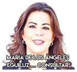 María de los Ángeles Eguiluz..... Consultar