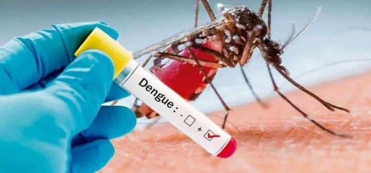 En alerta por 5 casos de dengue 