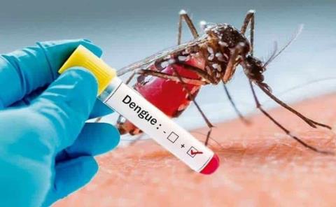En alerta por 5 casos de dengue 
