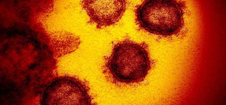 Surge otra variante del coronavirus