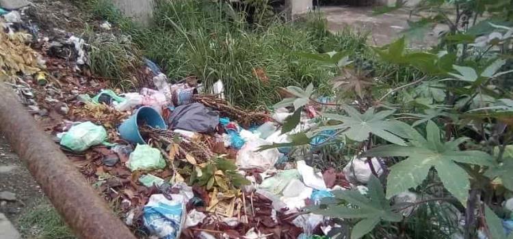 Resurgió basurero ilegal en “La Bimba”