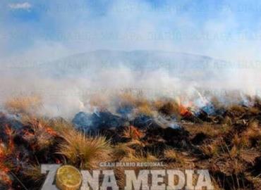 Incendio devastó 20 hectáreas de monte