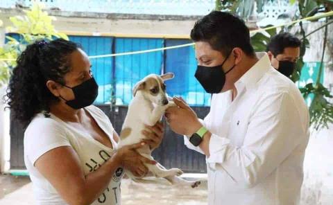 Propone 'EL POLLO' aumentar castigo por matar o maltratar animales; cinco años de cárcel