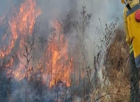 Incendio frente  a secundaria