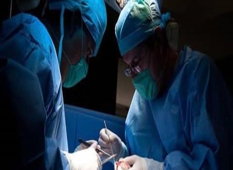 El IMSS realizó 1,791 trasplantes