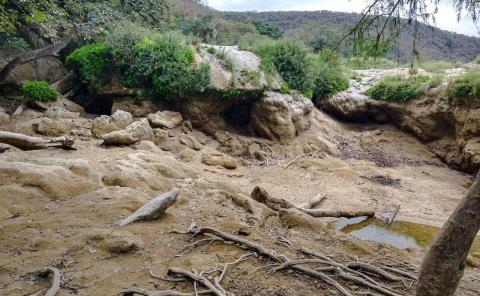 Aprieta sequía a la Huasteca