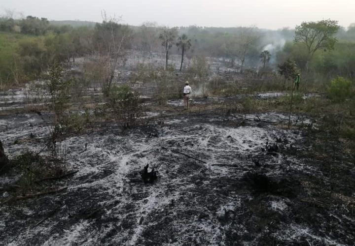 PELIGRO: devora fuego 10 HECTÁREAS de terreno en San Martín