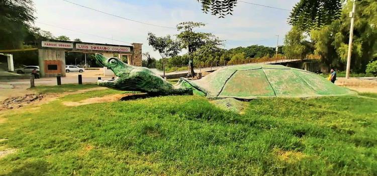 Buscarán rehabilitar tortuga del “Colosio”