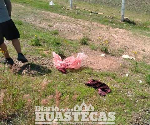 Reportaron bolsas con restos humanos