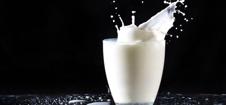 Fraude con leche