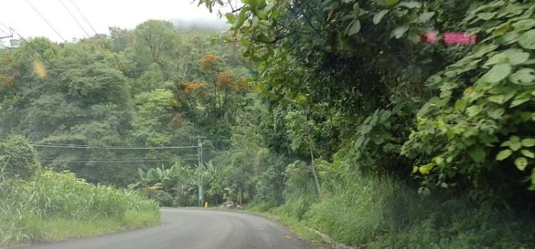 Repara rúa Xilitla - San Juan del Río