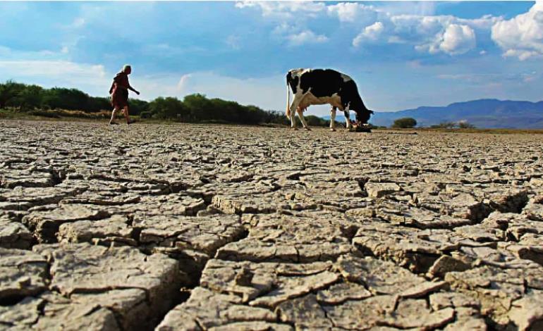 Pese a lluvias, sequía  es extrema: Conagua 