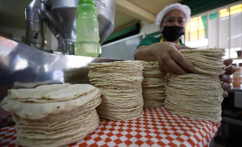 Kilo de tortillas llegó a 24 pesos; precios imparables 