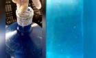 Exhiben consumidores agua de botellón contaminada con maromeros 
