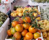 Mandarina en $40 el Kg en el mercado; en local menos de 15