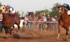 Pleitos en carreras ilegales de caballos