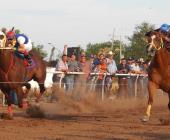 Pleitos en carreras ilegales de caballos