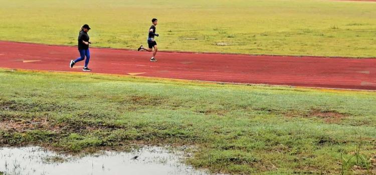 “Pululan” zancudos en pista del Estadio