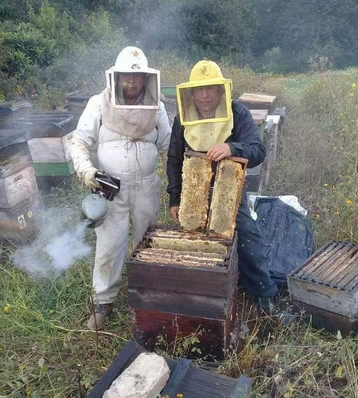 Crisis en  apicultura