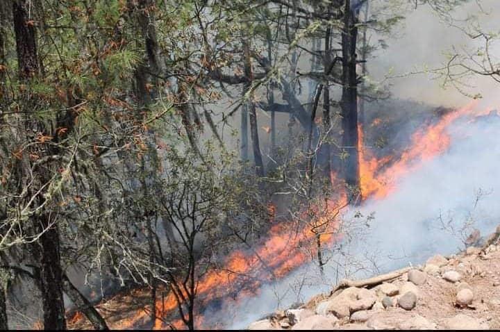 Incendios forestales  afectarán en la zona