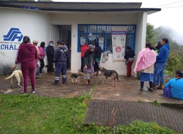 Realizaron campaña de esterilización canina en Tlanchinol