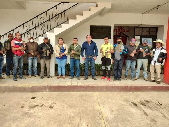 Entregaron 5000 plantas de café en Huazalingo