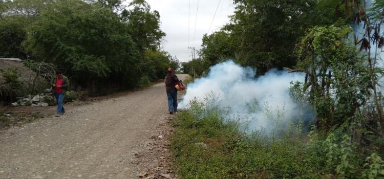 San Vicente confirmó primer caso de dengue