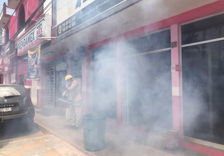 Ayuntamiento inició acciones de fumigación en Tempoal